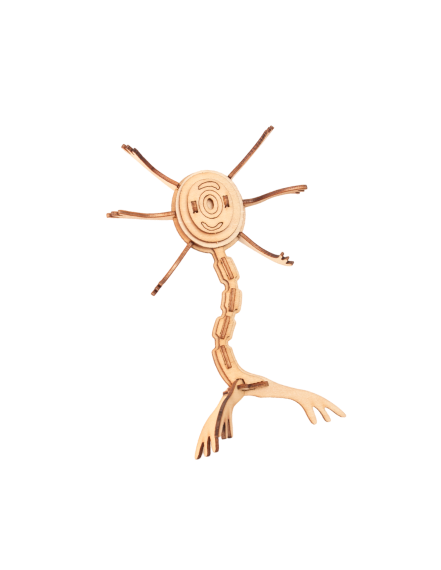 wooden hand